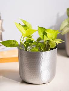 Maceta de metal martillado redonda plateada decoración macetas al aire libre para plantas maceta grande moderna al mejor precio - Product Image 5