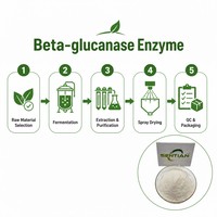 Poudre d'enzyme bêta-glucanase de qualité alimentaire 100 000 U/g pour l'alimentation animale et la brasserie
