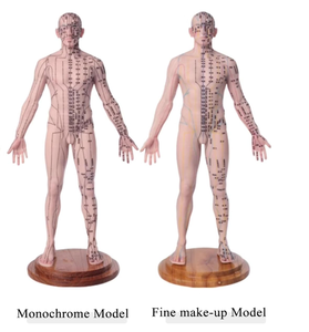 Akupunktur noktası öğrenme ve büyük taban sabit nokta tasarımı ile ekran için 55cm 21.6 inç silikon akupunktur modeli - Product Image 5