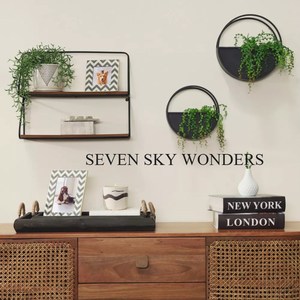 Nouvelle conception tenture murale jardinières et Pots de fleurs en métal classique moderne de qualité supérieure jardinières murales suspendues en fer couleur noire - Product Image 2