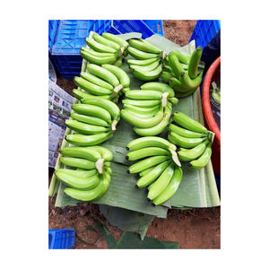 BANANE CAVENDISH VERTE NATURELLE PURE BIO - Product Image 4