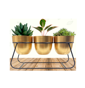 Jardinière écologique de qualité supérieure avec support Pot de fleur de luxe au design classique pour la décoration de Noël à prix inférieur - Product Image 6