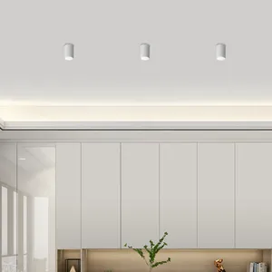 ไฟดาวน์ไลท์ MiravaDisk 12W โครเมียมอะลูมิเนียม LED แบบติดตั้งบนพื้นผิว สำหรับบ้าน โรงแรม 220V IP44 แสงวอร์มไวท์ 3000K 7W 18W ตัวเลือกกำลังไฟ - Product Image 1