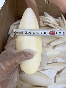 กระดูกปลาหมึกสำหรับ100% นกนกแก้วและเต่าของเล่นเคี้ยวกระดูกปลาหมึก - Product Image 2