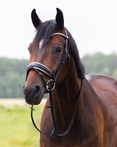 Venta al por mayor de alta calidad Diamante Horse Bridle 2018 Venta caliente única brida para caballos - Product Image 6