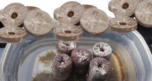Bloc de fibres de coco Eco2go Vietnam, substrat de culture biodégradable pour plantes, haute rétention d'eau et léger - Product Image 2