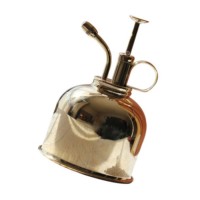 Brumisateur végétal en laiton poli de qualité supérieure avec pompe de style vintage parfait pour la décoration de table de jardinage d'intérieur et la collection de cadeaux