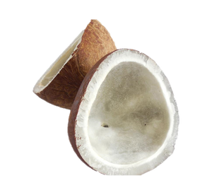 Premium Indonesian Edible White Copra Grade A High Oil Content Dried <b>Coconut</b> <b>Cup</b> Wholesale - Product Image 1