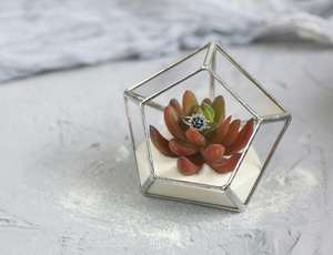 Classic Luxury Glass Jewelry <b>Ring</b> <b>Box</b> Wholesale <b>Ring</b> Necklace Pendant Bracelet <b>Jewellery</b> <b>Ring</b> <b>Box</b> For Engagement Glass Metal <b>Box</b> - Product Image 2