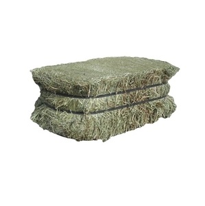 Foin d'alfalfa pour l'alimentation animale / granulés de foin d'alfalfa / foin de timothée en balles - Product Image 3