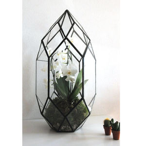 Jardinière moderne pour décoration de jardinage intérieur Terrarium en verre Bordure indienne en laiton faite à la main Finition noire Meilleure qualité et prix - Product Image 6