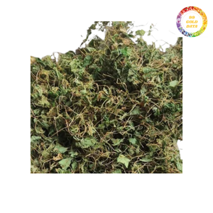 Vente en gros de Centella Asiatica séché-Produit de haute qualité et économique pour les commandes en gros - Product Image 5