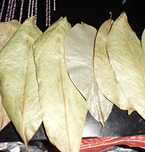 Vietnam Graviola <b>Tea</b> Leaves Naturally Dried for Aromatic Drinks and Daily Refreshing Use - Product Image 1