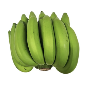 STANDARD D'EXPORTATION DE BANANES DE POTS NON NOIRS POUR LA CUISSON DE LA CUISSON À MANGER INSTANTANÉ SWEET CAVENDISH BANANE - Product Image 2