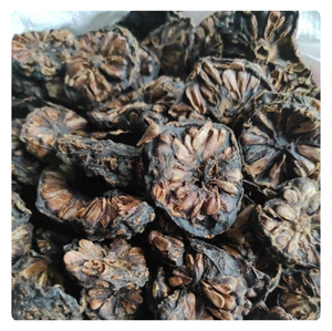 Hojas de Noni secas orgánicas Sabor dulce Producto de Vietnam de la mejor calidad para el bienestar Proceso de secado FD Embalaje a granel - Product Image 6