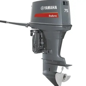 EXPÉDITION EXPRESS POUR Moteurs hors-bord 2 temps et 4 temps de 15 CV, 25 CV, 40 CV, 60 CV, 9,9 CV pour bateaux - Product Image 1
