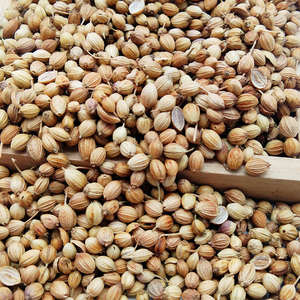 Semillas orgánicas de cilantro crudas y secas con proceso de secado AD de LK - Product Image 3