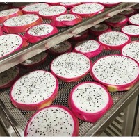 Premium gedroogde drakenfruit, drakenfruit vriesdroog, drakenfruit groothandel 2025, goedkope prijs