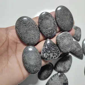 천연 검은 화석 산호 느슨한 보석 장식 및 보석 제조를 위한 고급 수제 보석
