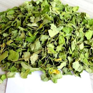 La mejor opción de hojas secas de moringa al por mayor de fábrica, hoja de moringa verde seca para compradores de importación - Product Image 3