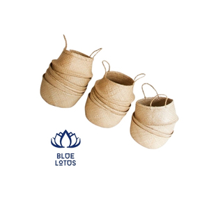 Along with the <b>Seagrass</b> <b>Basket</b>, this <b>Seagrass</b> Belly <b>Basket</b> is the Trendiest Design for Plant Pot Storage, <b>Laundry</b>, and Picnics - Product Image 1