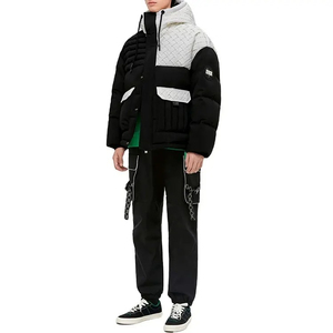 Veste polaire pour hommes la plus populaire avec capuche personnalisée ODM conception personnalisée ajustement souple à la mode - Product Image 2