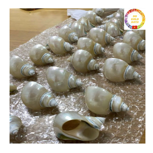 Turbo Shell Napkin <b>Ring</b> Handmade in Vietnam Premium Sea Shell Decor Perfect for Weddings Coastal Parties and Classy Dining - Product Image 2