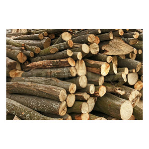 Grumes de charme fournies en grande quantité pour la menuiserie d'armoires et les intérieurs décoratifs - Product Image 3