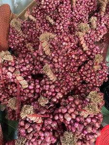 Meilleure qualité, nouvelle récolte, échalote séchée, oignon rouge, vente en gros d'oignon frais prix d'usine à l'exportation - Product Image 2
