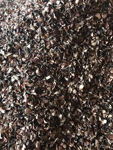 Cáscara de Anacardo Cruda de Alta Calidad de Vietnam, Apta para Alimentación Animal en Molinos, Requiere Material Limpio y Estable con Fibra Natural Fuerte - Product Image 6