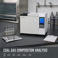 Chromatographe de détection de gaz hydrogène, oxygène, azote, méthane, monoxyde de carbone YX-9100C, analyseur de gaz de charbon, instrument de test de laboratoire