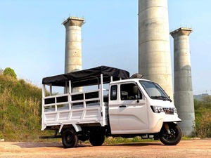 Vehículo de Carga de 3 Ruedas de Alta Calidad, Tuk Tuk Francés Personalizado, Rickshaw Eléctrico de Carrocería Abierta de 60V 251-350W - Product Image 3