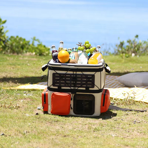 <span class=keywords><strong>Nevera</strong></span> Portátil de 12/24 V CC, 110/240 V CA, Alimentada por Batería, <span class=keywords><strong>Mochila</strong></span> Refrigeradora para Acampar - Product Image 4