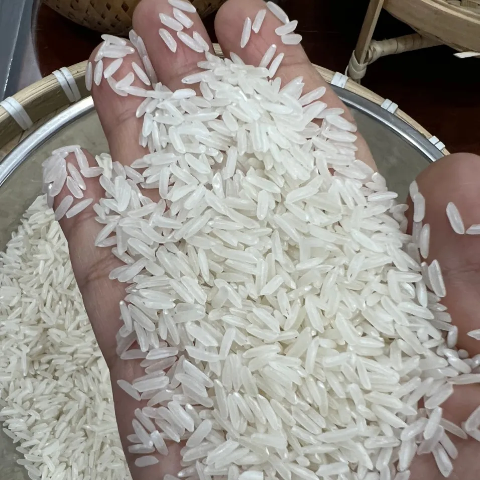 Homali चमेली लंबे समय से अनाज चावल चावल के निर्यातक बैग 50 kg से वियतनाम चावल निर्माताओं RIZ ARROZ