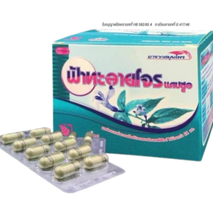 Venta directa 350 mg Thai Andrographis Paniculata Polvo de extracto de hierbas en cápsulas Marca KMP 100 Cápsulas/Caja de Tailandia - Product Image 1