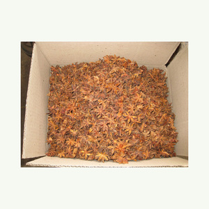 Vente en gros de graines d'anis étoilé sèches et cassées en vrac - Product Image 6