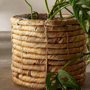 Meilleur Prix 2024 du Vietnam Jacinthe d'eau séchée-Produit de jacinthe d'eau sèche de haute qualité pas cher avec 100% naturel - Product Image 2