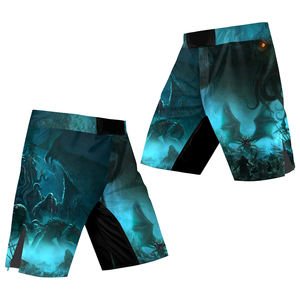 Conjunto de Rashguard con Estampado Personalizado, Ligero y Elástico, Ropa Deportiva para Gimnasio, 100% Poliéster y Spandex, Resistente, para BJJ, Cage Fight, Kickboxing, MMA - Product Image 4