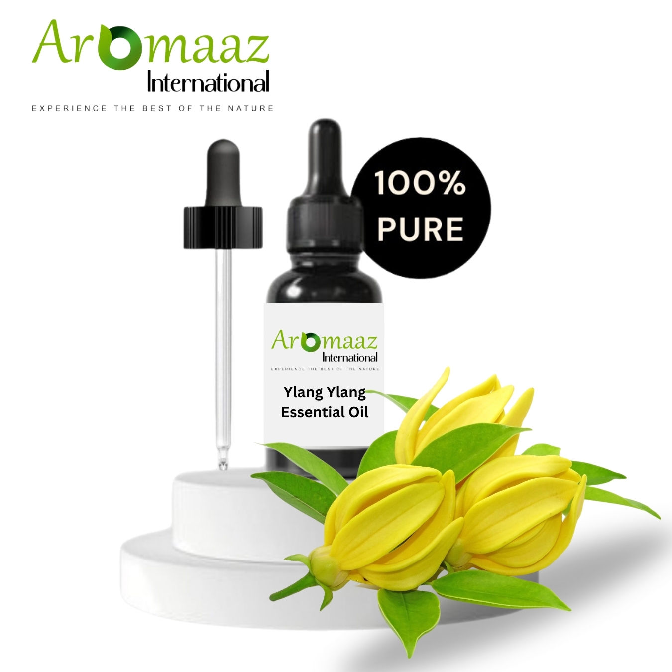 ซีดเป็นสีเหลืองเข้ม