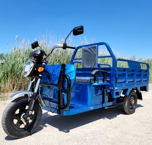 Comprar triciclos de transporte agrícola nuevos y usados - Product Image 6