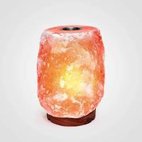 Diffuseur d'huiles essentielles NUMKYNE avec plaque chauffante double pour massage des pieds au sel de l'Himalaya, ions négatifs pour l'aromathérapie corporelle et le bien-être