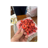 Veganistische Vriendelijke Gevriesdroogde Aardbeienchips Natuurlijke Hele Fruitsnack Geen Toegevoegde Suiker Geen Conserveermiddelen Ideaal