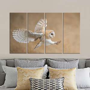 Tableau sur toile Hibou des granges : Avant l'attaque, impression décorative murale animale, lot de 4 toiles - Product Image 1
