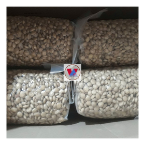 ถั่วซาชาอินชิ/olukenetia Volubilis แบบแห้งผลิตในเวียดนาม - Product Image 5