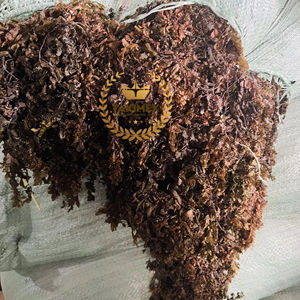 Alga Marina Sargassum Seca Cruda para Alimentación Animal - Alga Marina para Agricultura Ecológica - Product Image 1