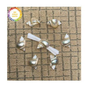 Servilleteros de Concha Marina de Vietnam a Buen Precio, Acabado Pulido Elegante para Organizadores de Eventos - Product Image 1
