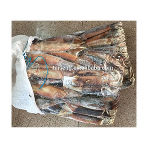 Chất lượng cao đông lạnh toàn bộ vòng Hoang Dã Catch150-200g illex Argentina mực cho cá ngừ mồi nguyên liệu illex mực - Product Image 3