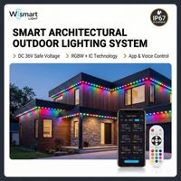 Tira de Luz LED RGBW IC DC36V, Sistema de Iluminación Arquitectónica para Exteriores IP67, 100LM/W