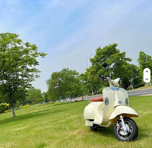 High Performance Version <b>Electric</b> <b>Motorcycle</b> Bike 1200w 60V/72v <b>Motorcycles</b> - Product Image 4
