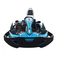 Buggy Eléctrico Todoterreno Nuevo de Alta Calidad 2019, 1000W 4x4 EPS, Go Karts con Freno Hidráulico y 40 km/h (TKG1100-1)